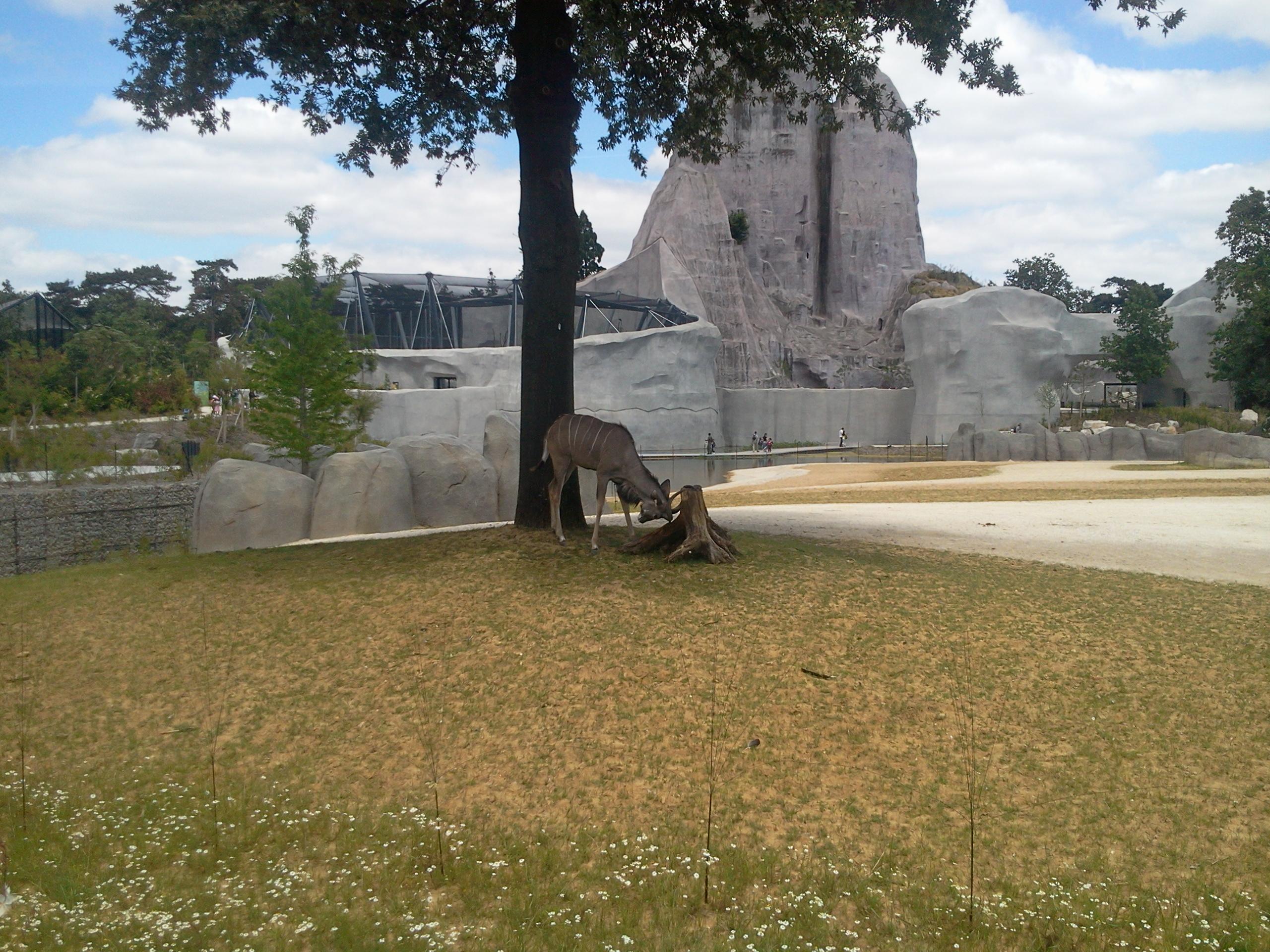 zoo